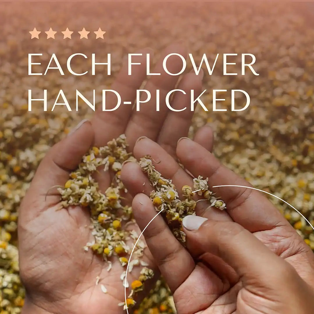 Hand-picked Flower